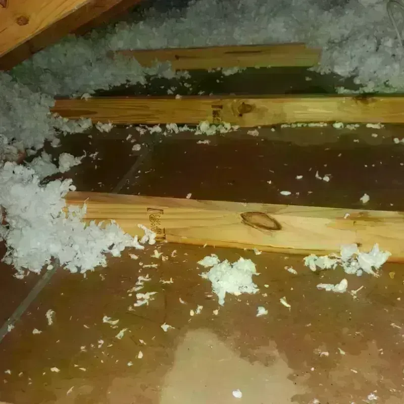 Attic Water Damage in Brookfield, WI