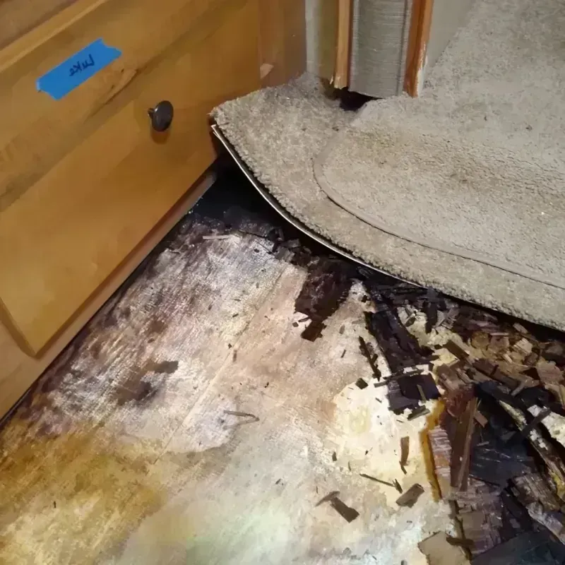 Best Wood Floor Water Damage Service in Brookfield, WI